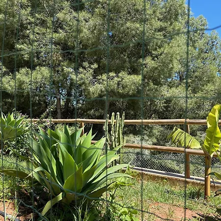 La Casona Del Pinar Swiming Pool 木屋